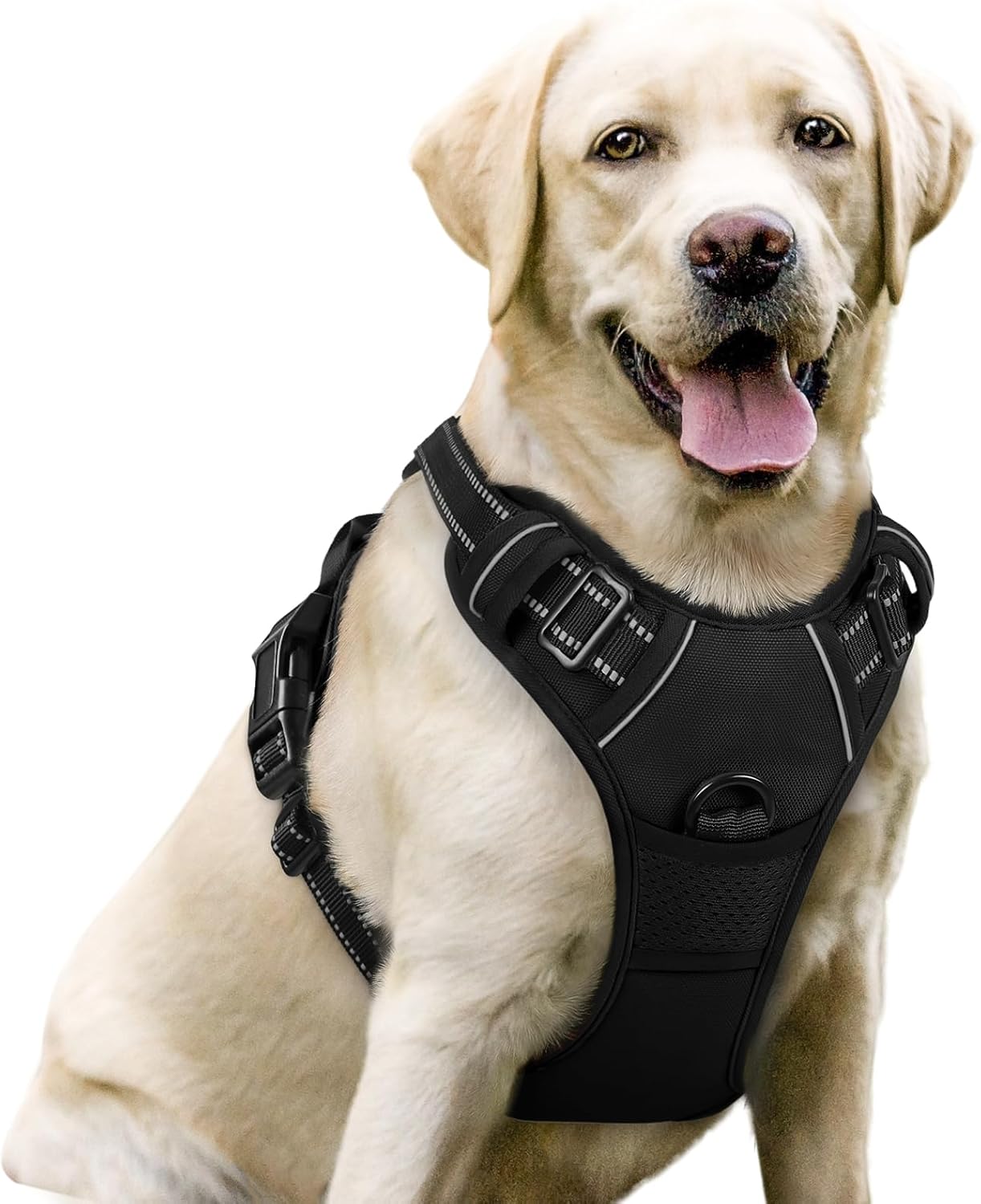 Ciotola pieghevole da viaggio per cani
