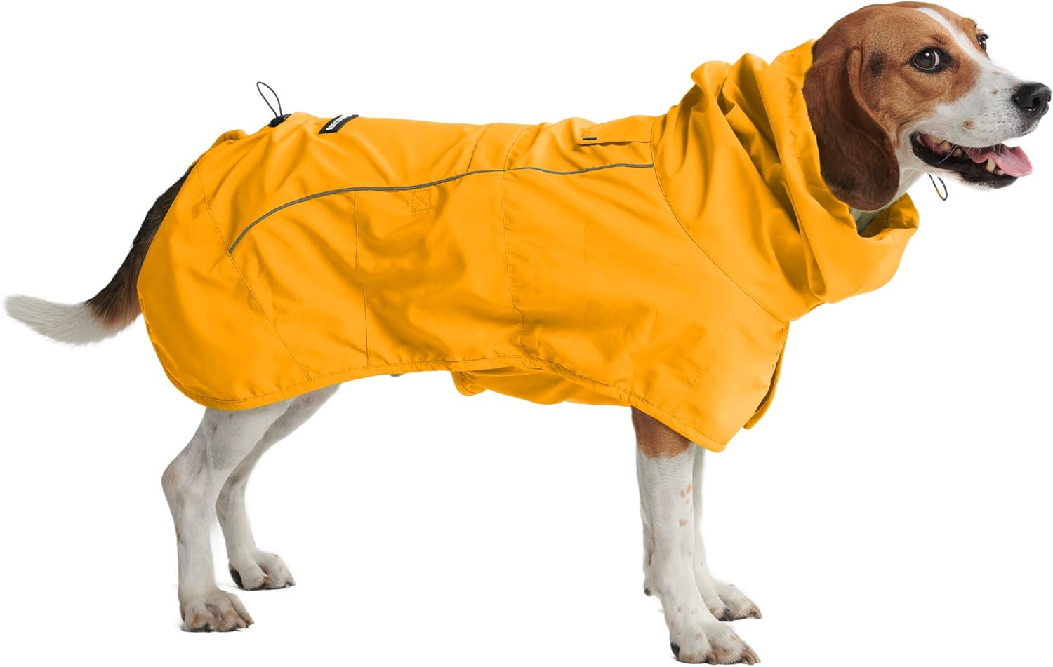 Cavo di ancoraggio per esterno per cani
