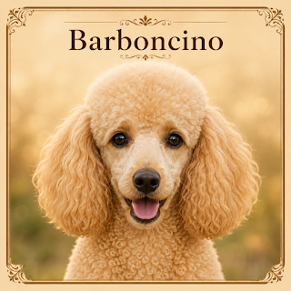 Barboncino: carattere, cura e consigli