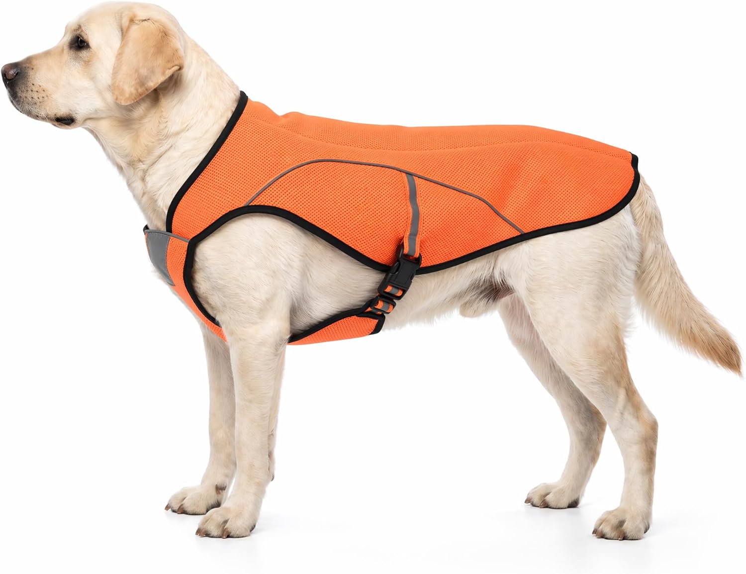 Collare riflettente con imbottitura per cani