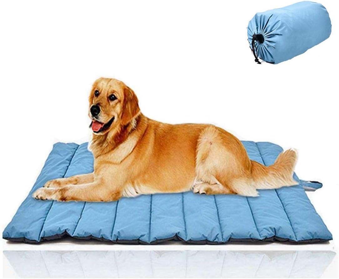 Dispenser per sacchetti igienici per cani